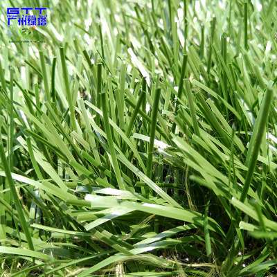 Excellent Thiolon Filament Artificial Turf Synthetic Grass For Football Field